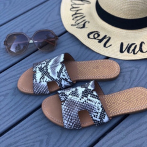 Snake 🐍 Print Flats - Picture 4 of 5